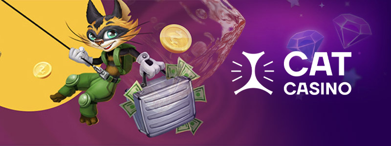 бонусы Cat casino